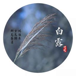 project-logo